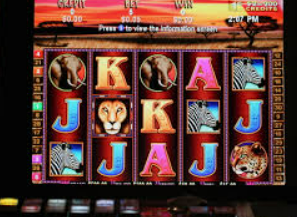 摇钱树捕鱼下载2024最新版